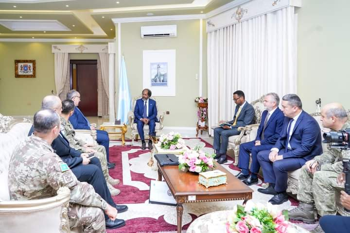 Somali President Meets Turkish Military Delegation