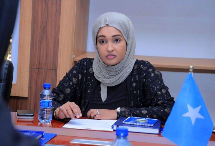 Somalia joins global environmental finance committee