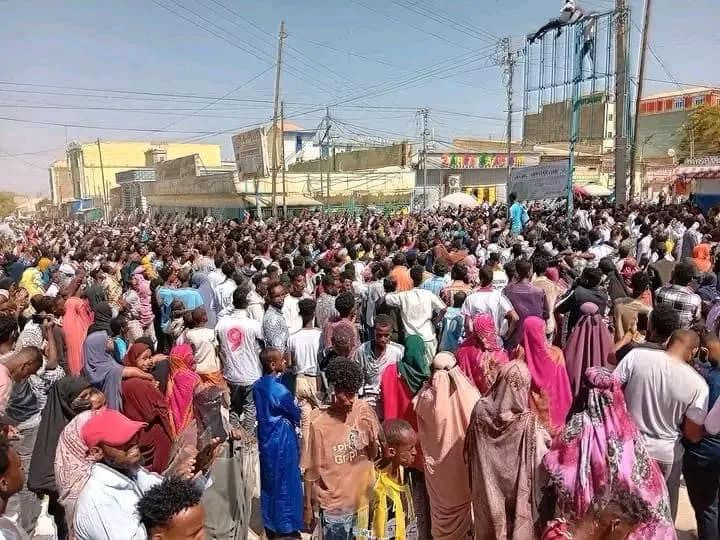 Demonstrators in Borama: Our Sea is not for Sale