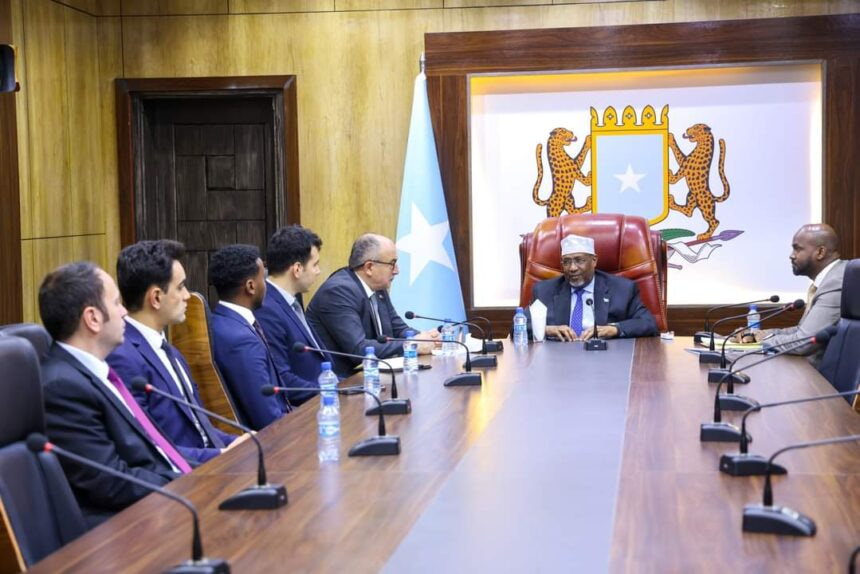 Somali acting president bids farewell to Turkish envoy