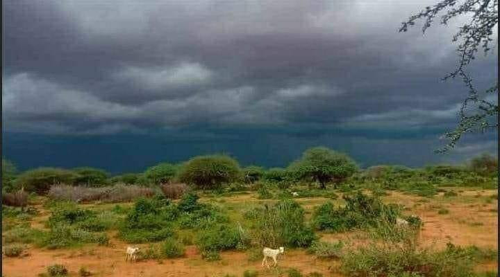 Spring Rains Bring Relief to Somali Regions