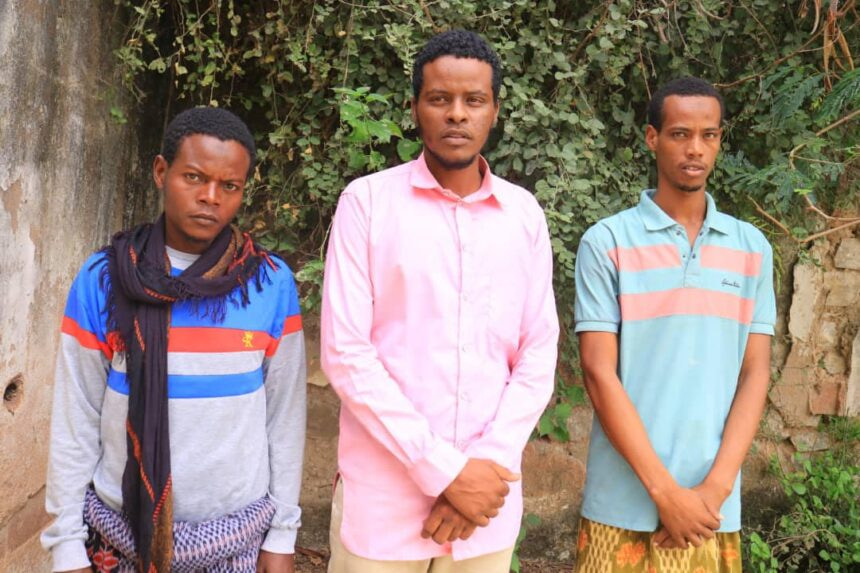 Three Al-Shabaab Militants Surrender to Somali Security Forces