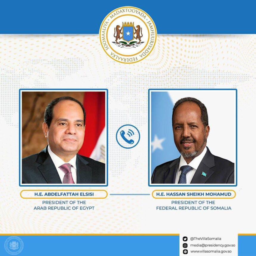Somali and Egyptian Presidents Discuss Regional Issues and Bilateral Ties