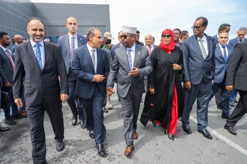 Somalia Welcomes Egyptian Foreign Minister in Mogadishu