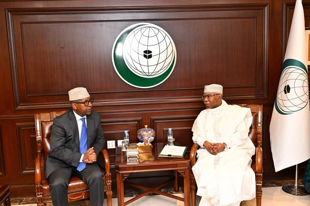 Somali FM Discusses Collaborative Approaches with OIC Secretary-General