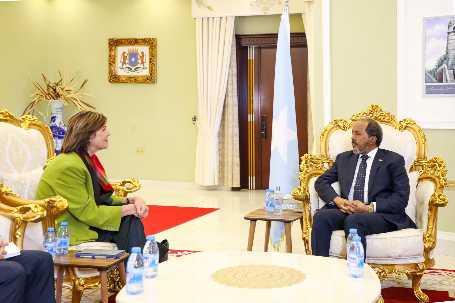 President Mohamud receives EU Ambassador to Somalia