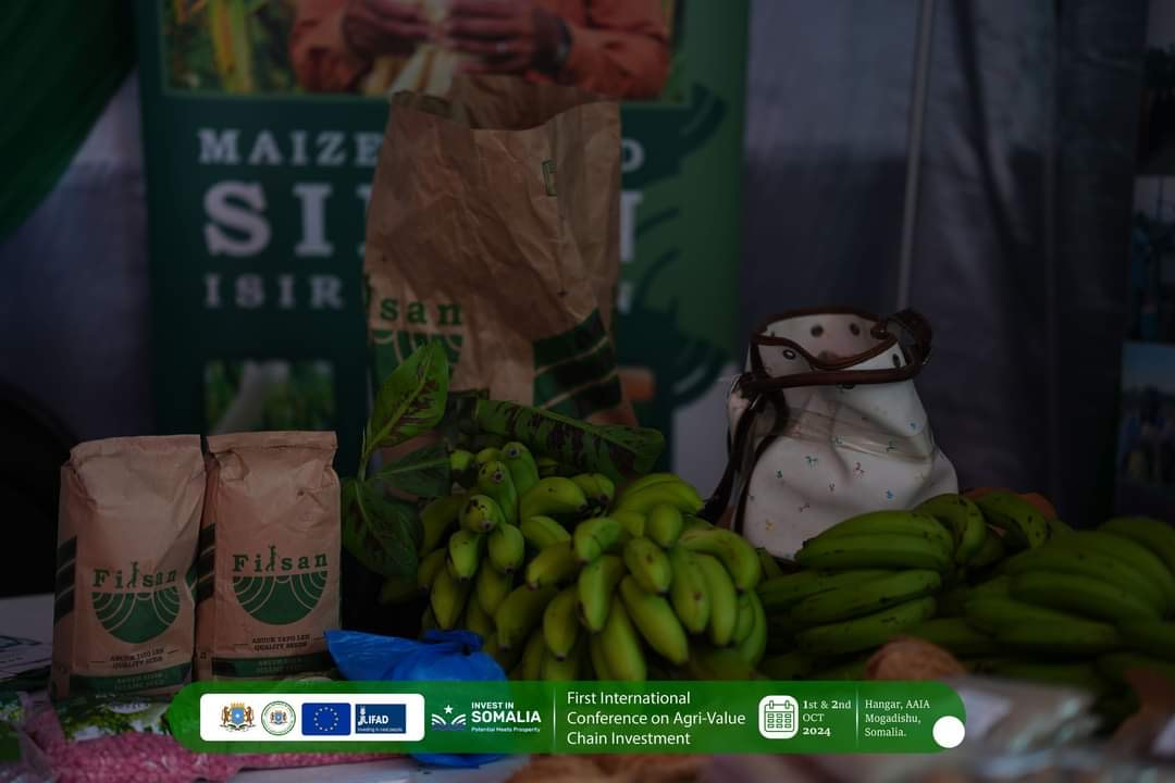 International Conference on Agri-Value Chains Investments in Somalia: Day Two Focuses on Somalia’s Agricultural Opportunities