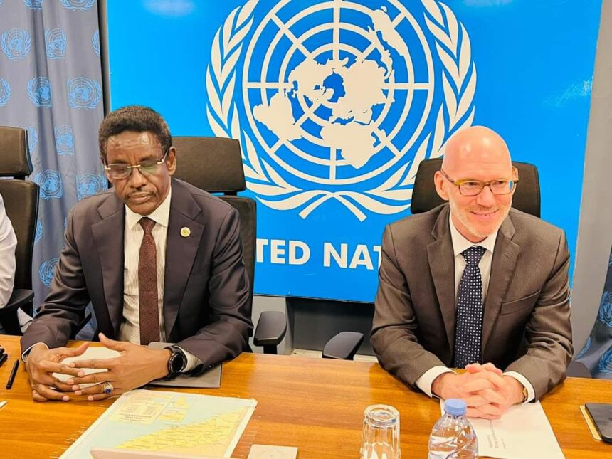 Somalia's Minister of Internal Security Meets with UN Special Envoy to Strengthen Security Cooperation