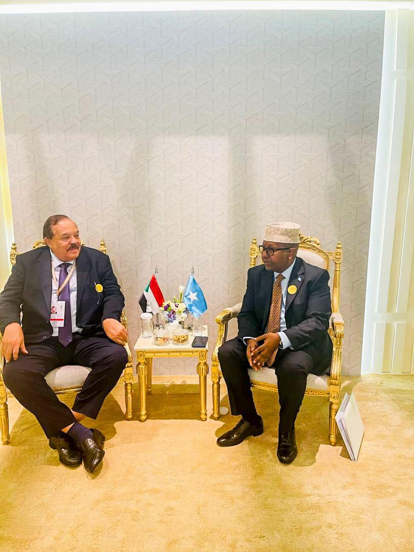 Minister of Foreign Affairs meet his Sudanese counterpart in Riyadh