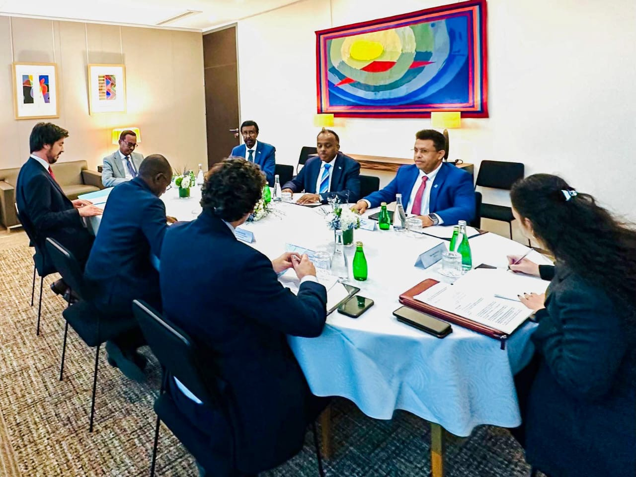 Somalia, France discuss cooperation in High-Level Paris Meeting