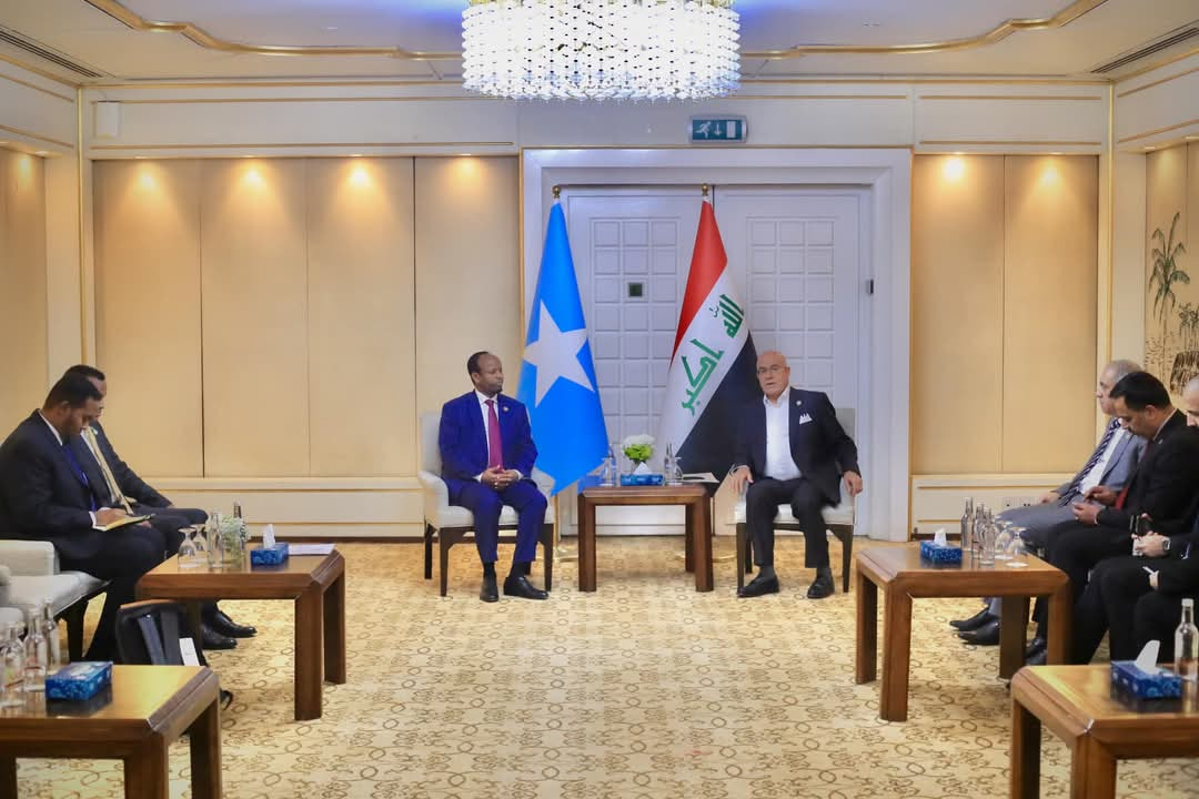 Somalia's Health Minister Discusses Health Cooperation with Iraqi Counterpart