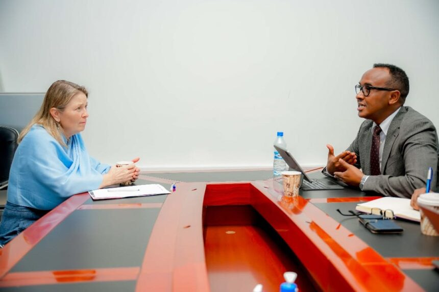 Somali Disaster Management Agency Commissioner Holds Special Meeting with USAID Chief