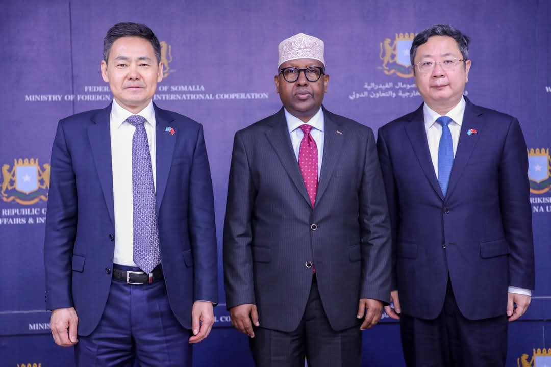 Foreign Minister Meets Chinese Special Envoy for the Horn of Africa