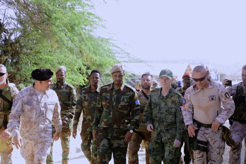 Somali Infantry Commander Holds Fruitful Meeting with EU Delegation