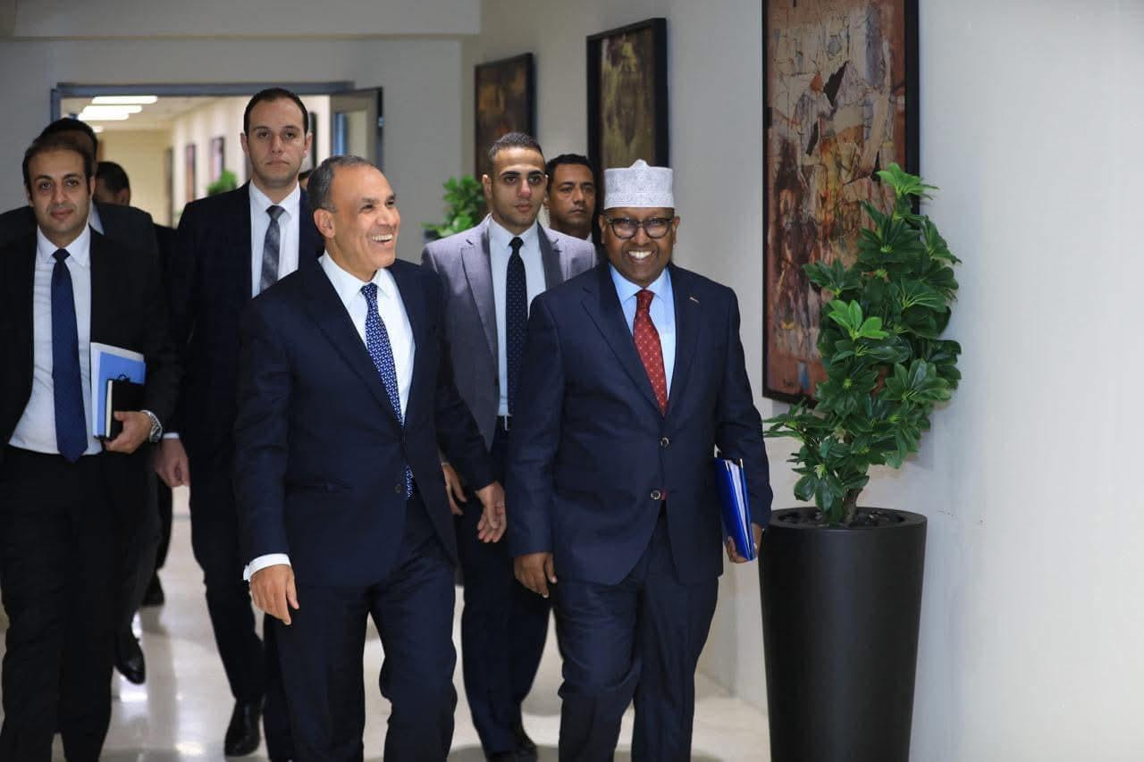 Strengthening Bilateral Ties: Somalia and Egypt Commit to Strategic Partnership