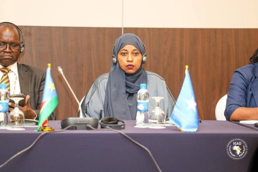 Somali Deputy Minister of Agriculture Attends IGAD Ministerial Conference in Djibouti