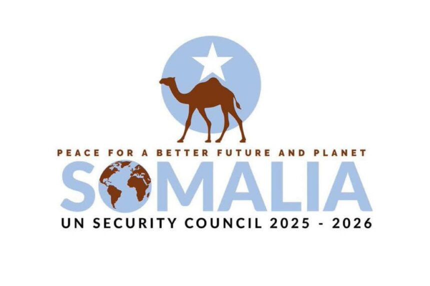 Somalia Officially Joins United Nations Security Council After 54 Years