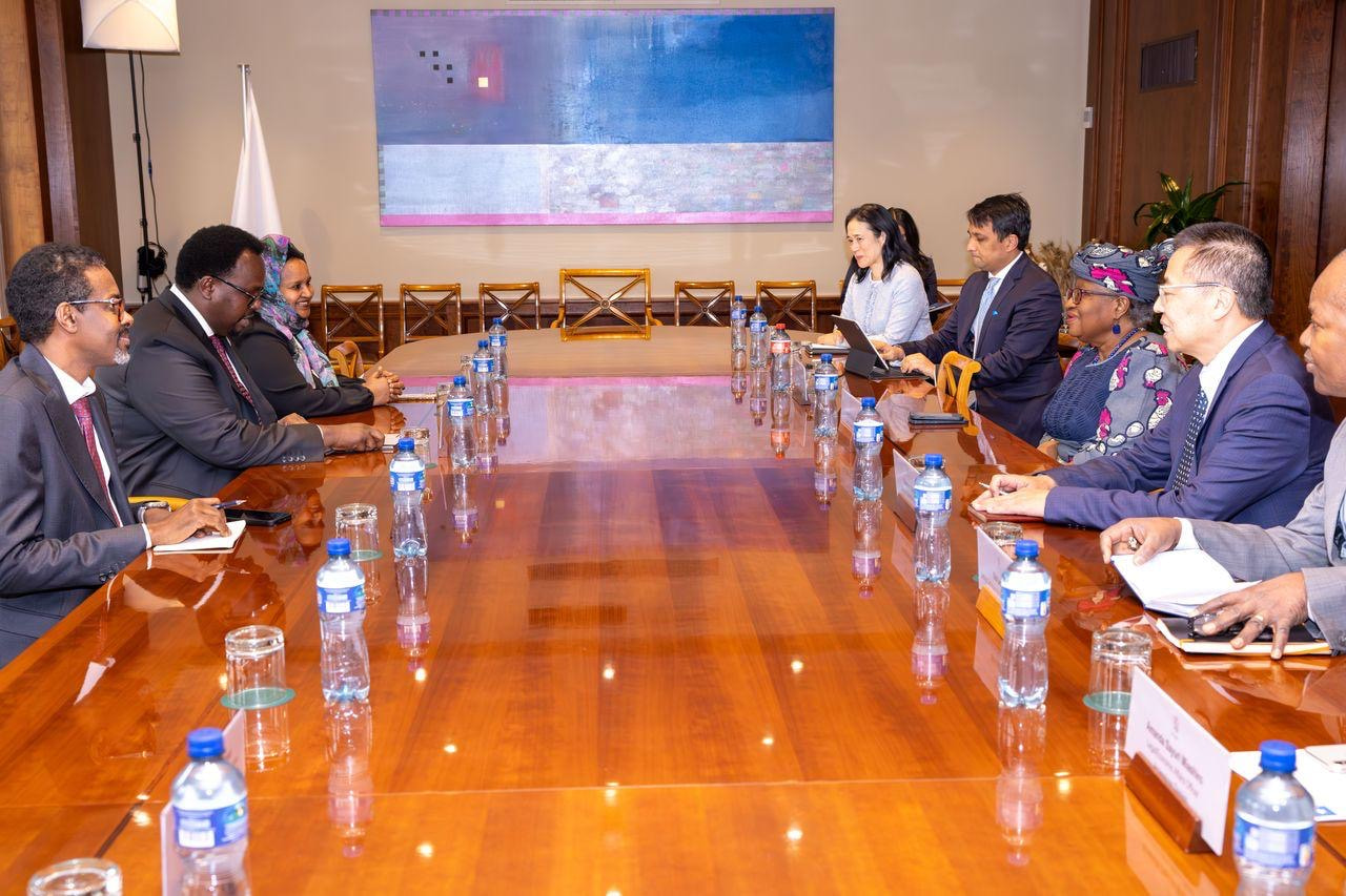 Deputy PM of Somalia engages with WTO Director-General in Geneva