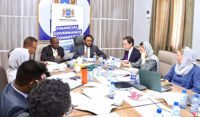 Minister of Finance chairs the Financial Governance Committee meeting