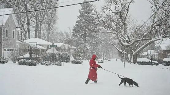 Winter storm in US kills at least 14 people, officials say
