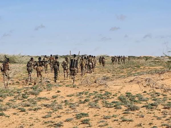 Somali National Army Conducts Successful Operation in Harardhere Areas