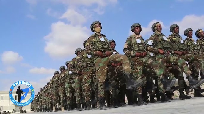 Somali National Army Day: Honoring 65 Years of Patriotism and Service