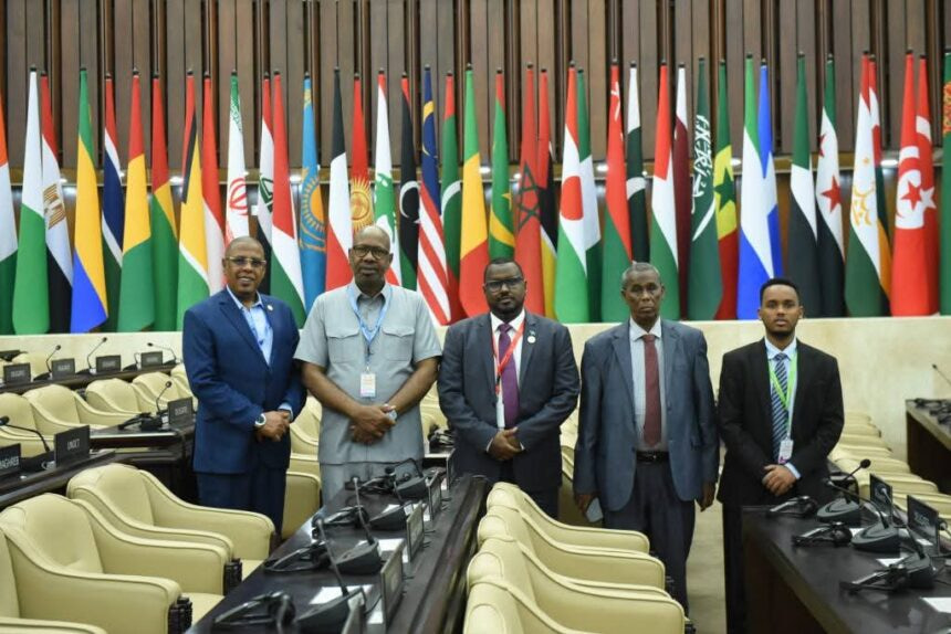 Somali Deputy Speaker Addresses Islamic Parliament Conference in Jakarta on Good Governance and Combating Islamophobia