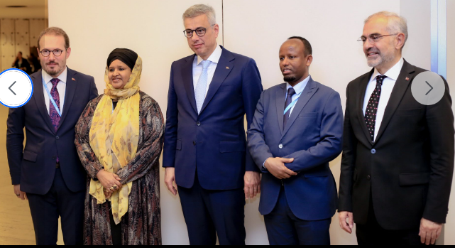 Somalia, Türkiye Strengthen Bilateral Health Cooperation in Geneva Meeting