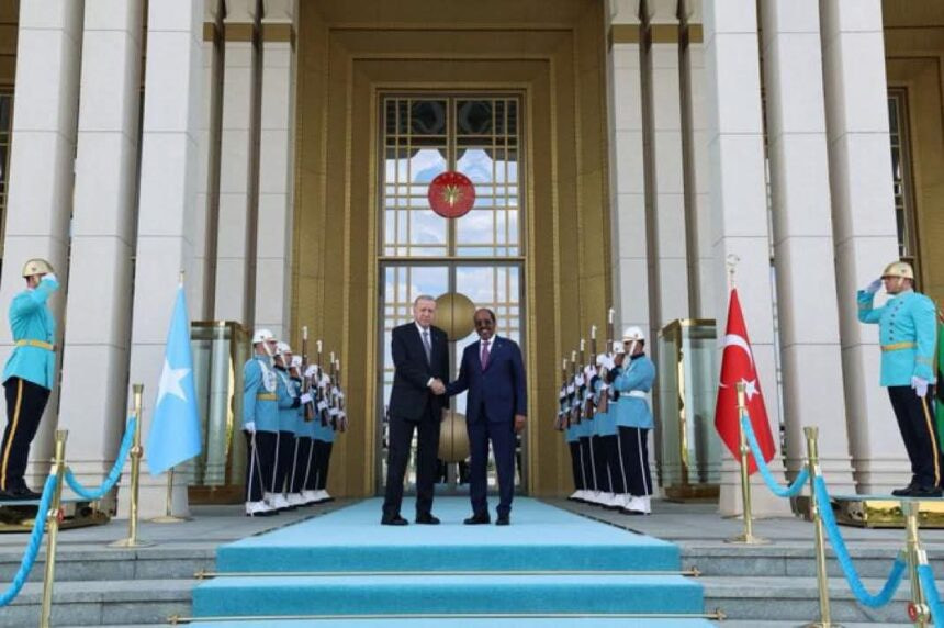 President Hassan Sheikh Mohamud Holds Talks with his Turkish Counterpart in Ankara