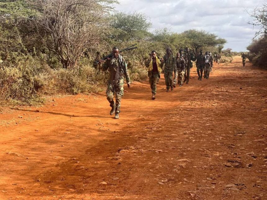 Somali National Army Conducts Successful Anti-Terror Operation in Bakool Region