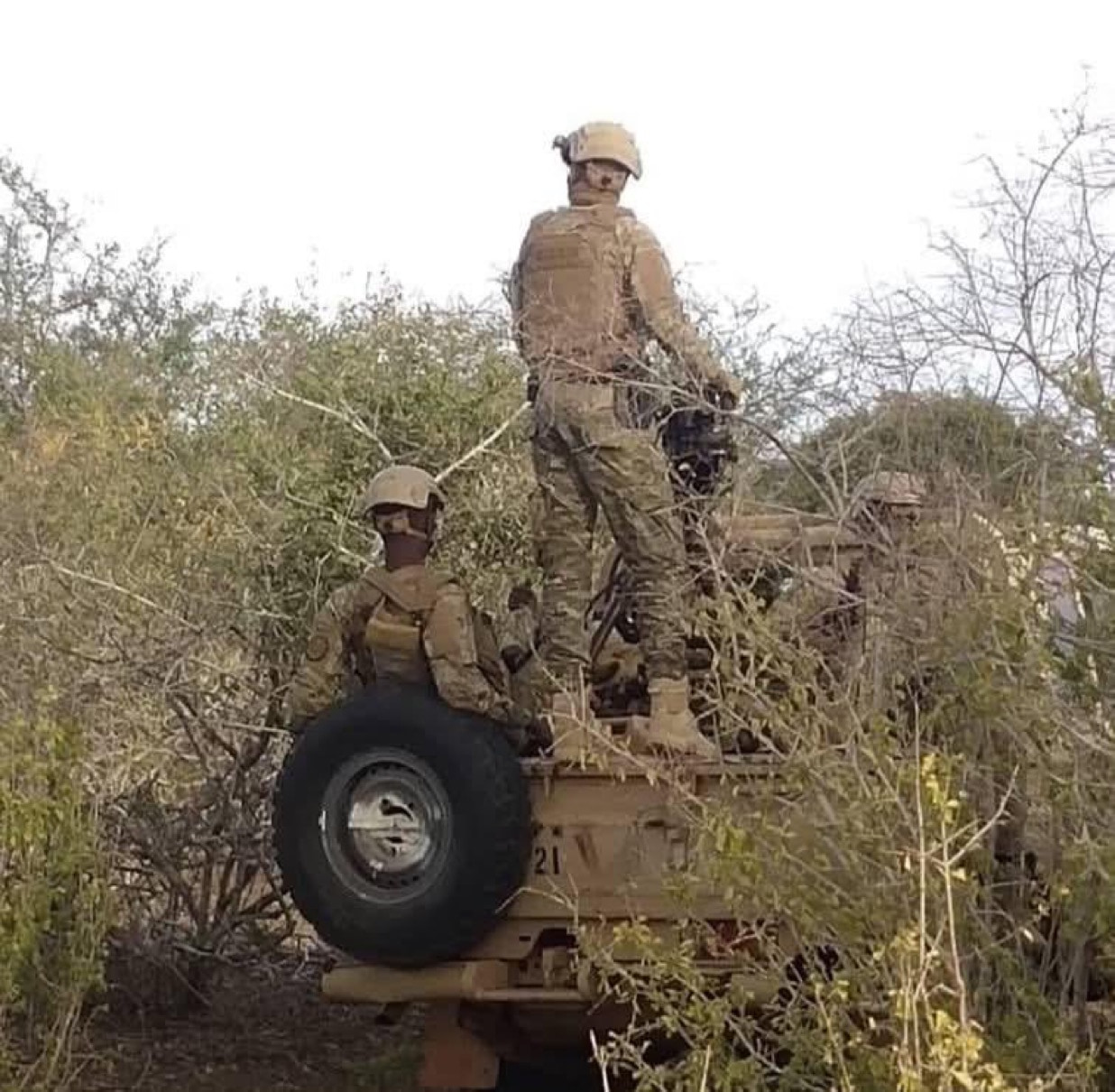 NISA Operation in Lower Shabelle Eliminates Nine Militants, Destroys Explosives Infrastructure