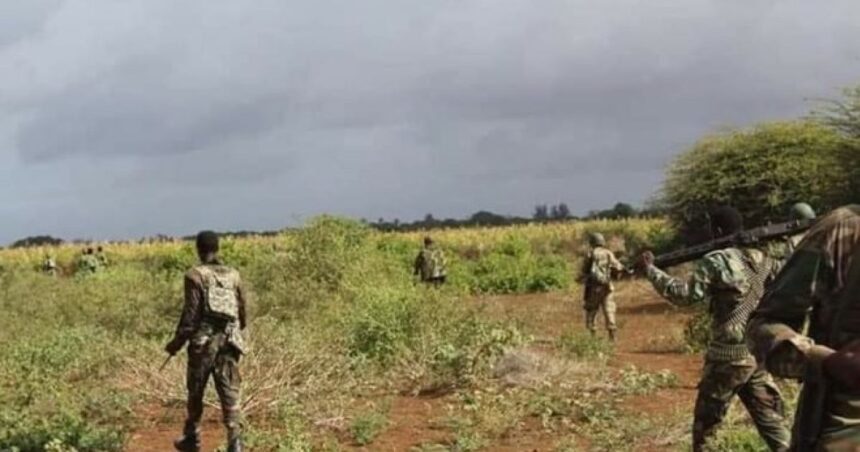 Somali National Army Repels Militant Attack in Lower Shabelle, Inflicts Heavy Casualties