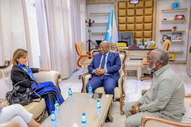 Somalia, EU Discuss Enhanced Cooperation on Culture and Public Awareness