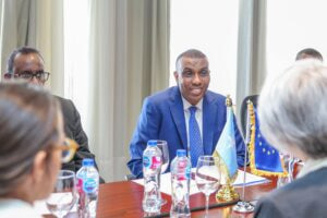 Prime Minister Hamza Abdi Barre Meets EU Special Envoy for Horn of Africa in Aswan
