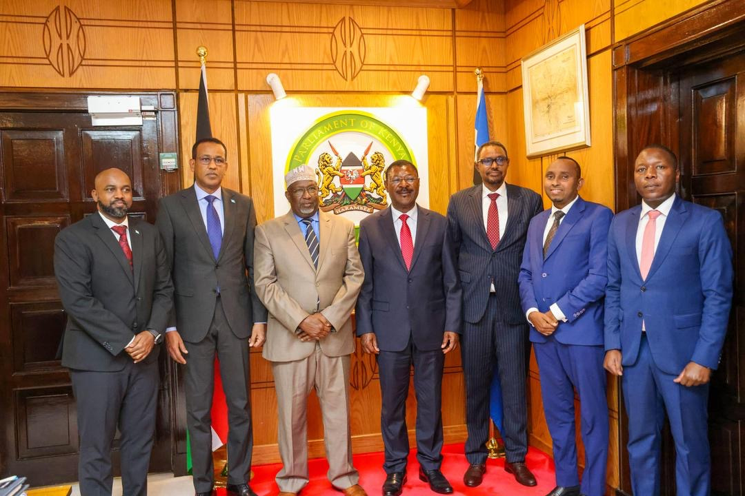 Speaker of the Lower House Meets His Kenyan Counterpart in Nairobi