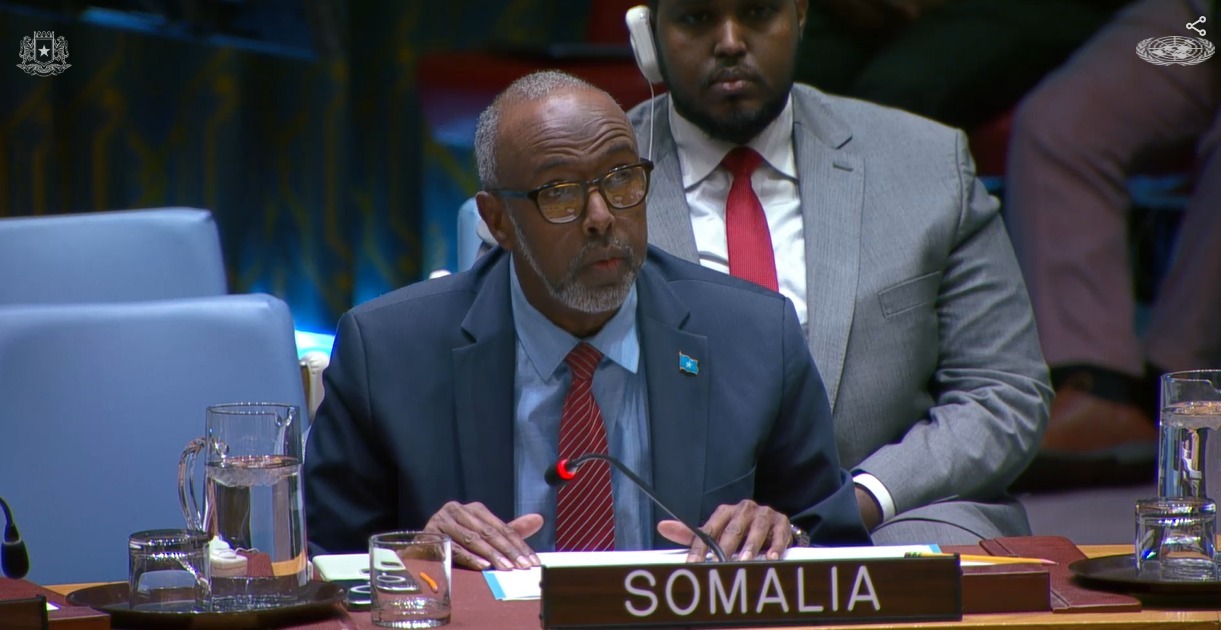 At the Security Council, Somalia Says Terrorists Are Evolving Faster Than States
