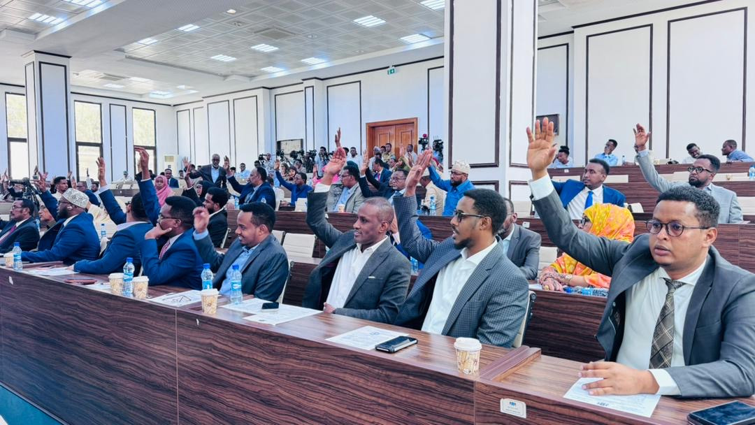Somali Parliament Approves Tobacco Control Framework