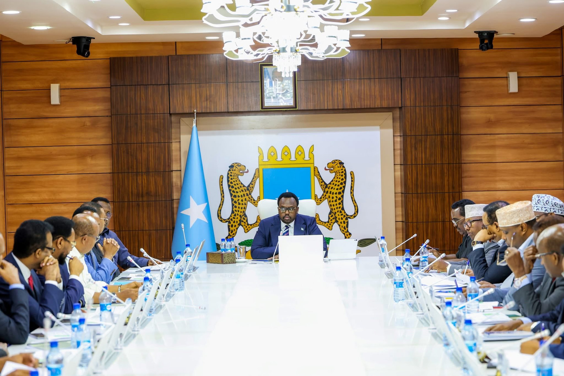 Somali Cabinet Annuls All Agreements with the United Arab Emirates