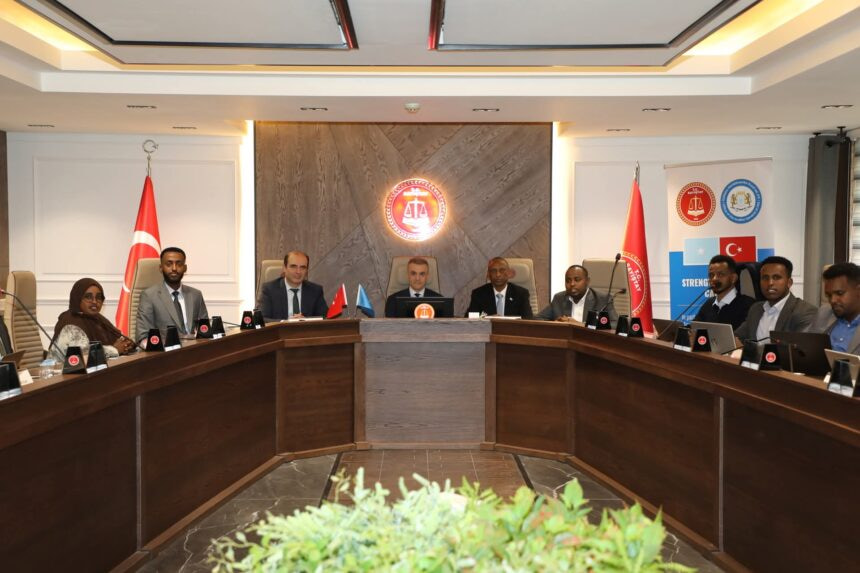 Somali Auditors Participate in Audit Capacity-Building Program in Ankara
