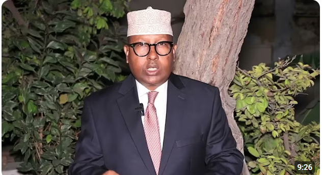 Defense Minister Confirms Killing of Senior Al-Shabaab Leader in Planned Operation in Lower Shabelle