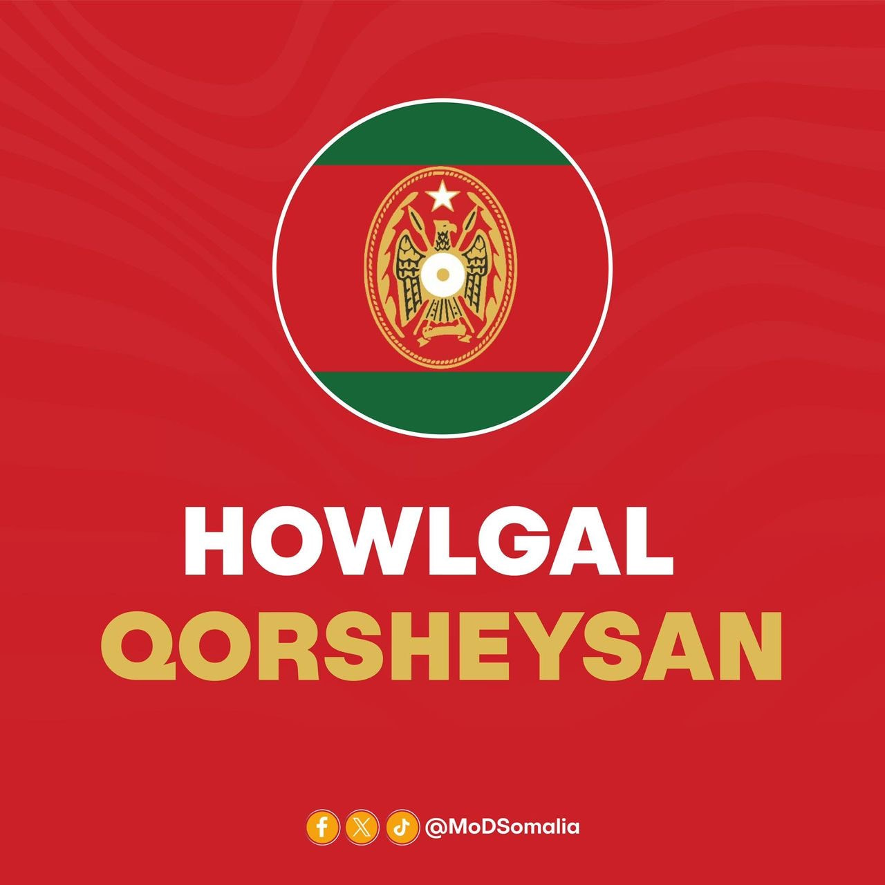 Somali National Army and Local Forces Kill Four Militants in Hiiraan Operation