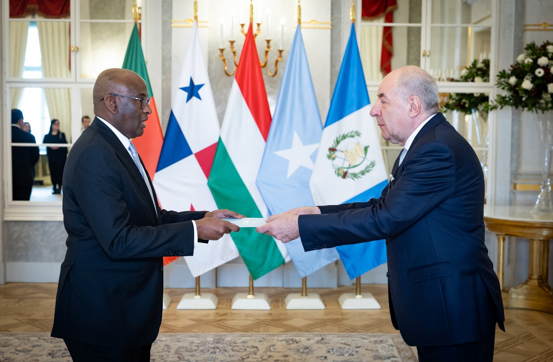Somali Ambassador Presents Credentials to Hungarian President in Historic First