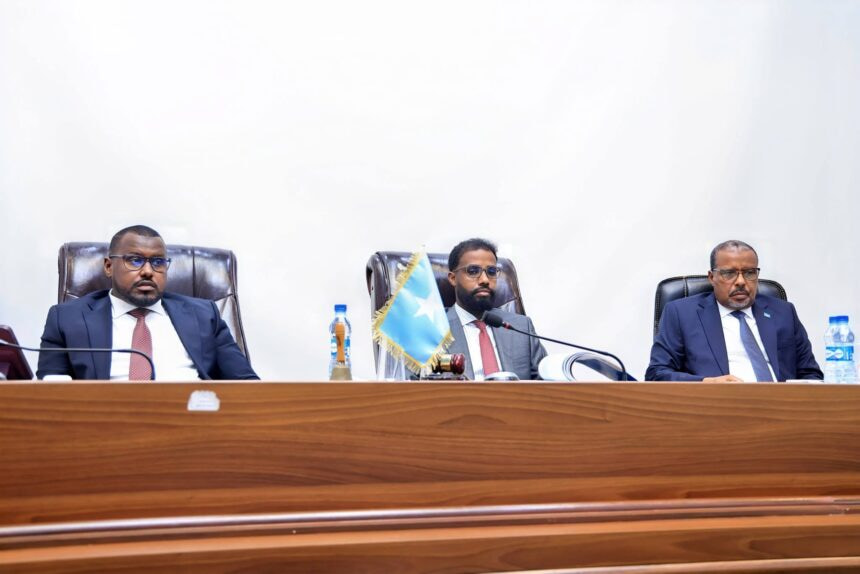 Somalia’s Federal Parliament Continues Joint Debate on Provisional Constitution
