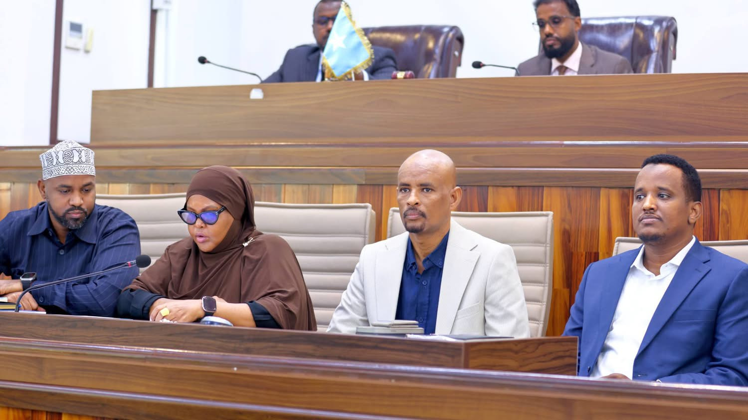 Federal Parliament Concludes Debate on Chapter Nine of Provisional Constitution