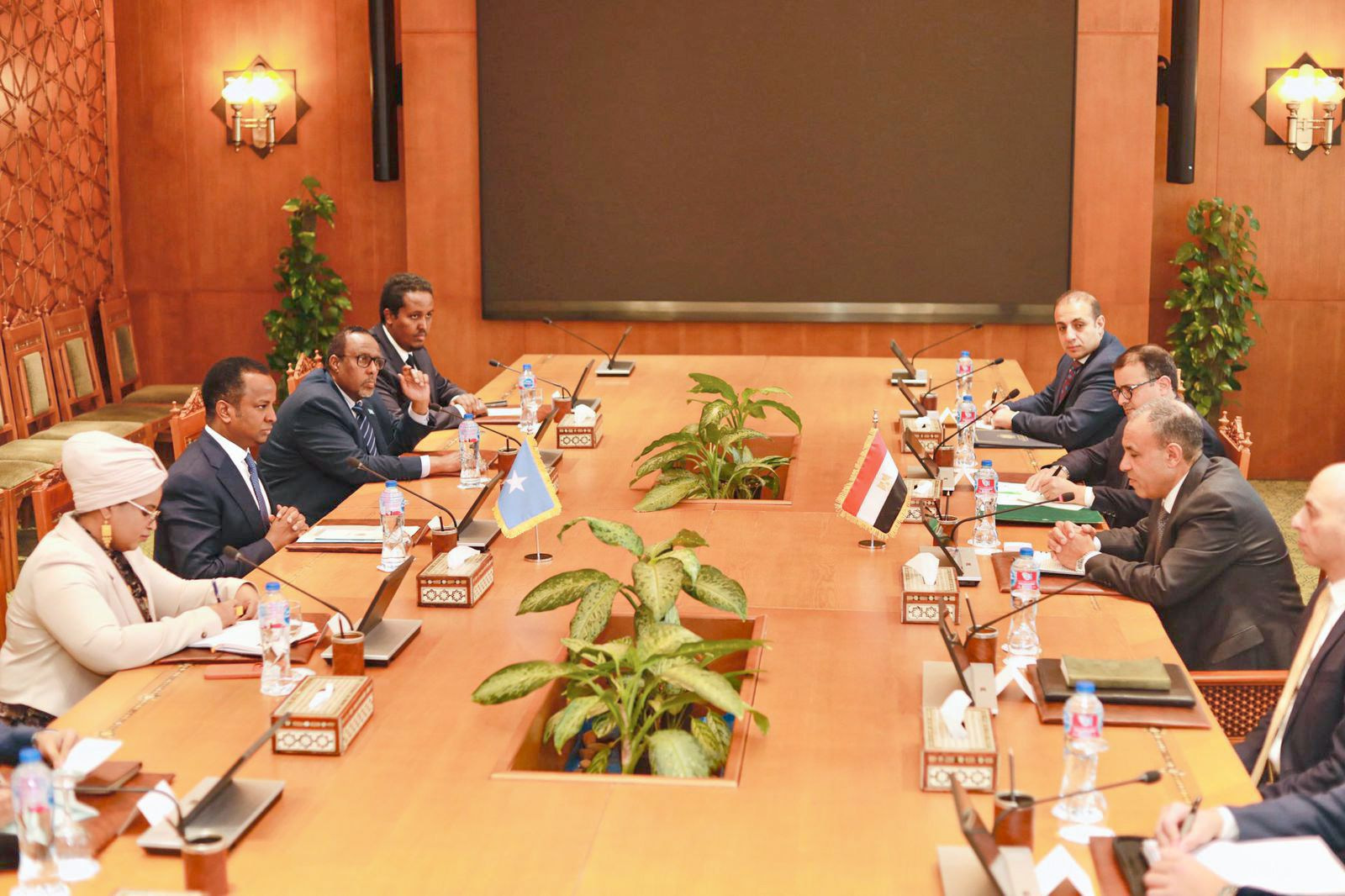 Somalia and Egypt Reaffirm Strategic Partnership in High-Level Cairo Consultations