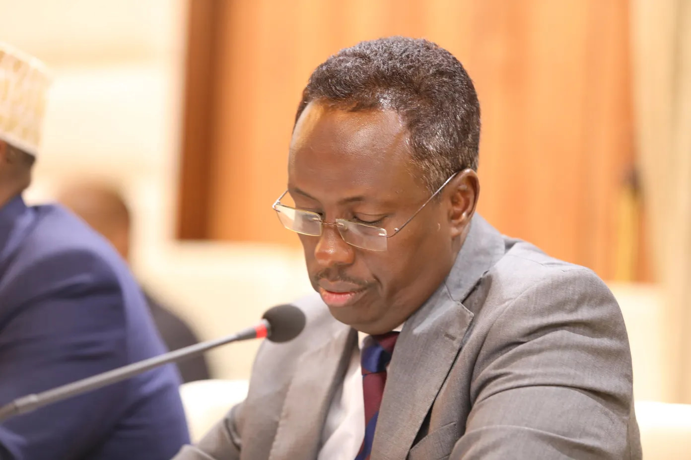 Somalia Sees Surge in Farming as Public Awareness Grows — Minister