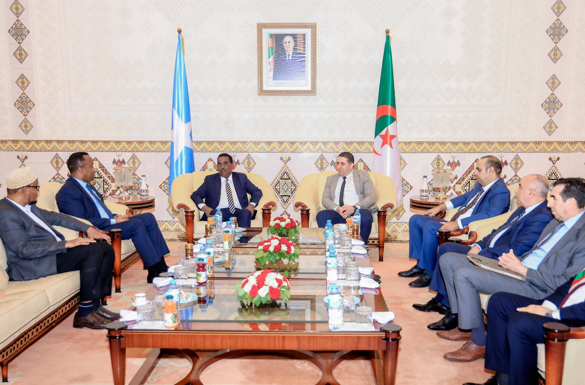 Interior Minister meets his Algerian counterpart, discusses strengthening bilateral ties
