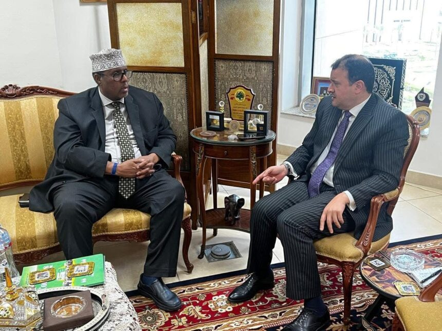 Somalia Intensifies Efforts to Secure Release of Egyptian Sailors Kidnapped from Oil Tanker