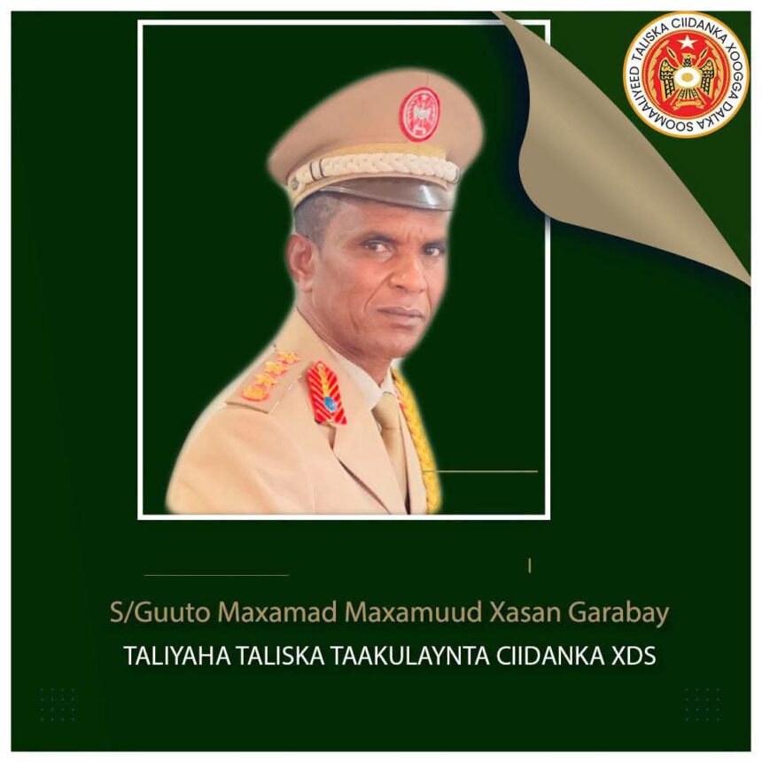 President Hassan Appoints New Military Logistics Chief