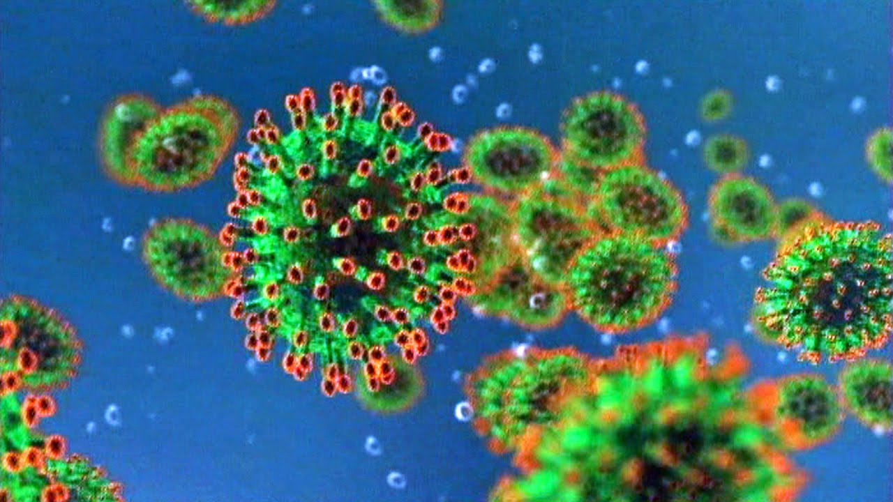Fariimo muhiim ah ee Corona Virus, COVID 19 (Warbixin)